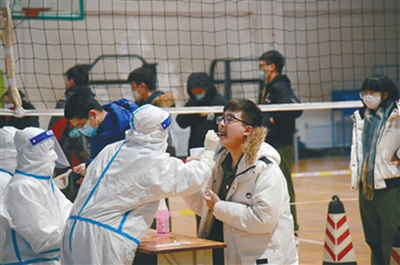 p1_b.jpg