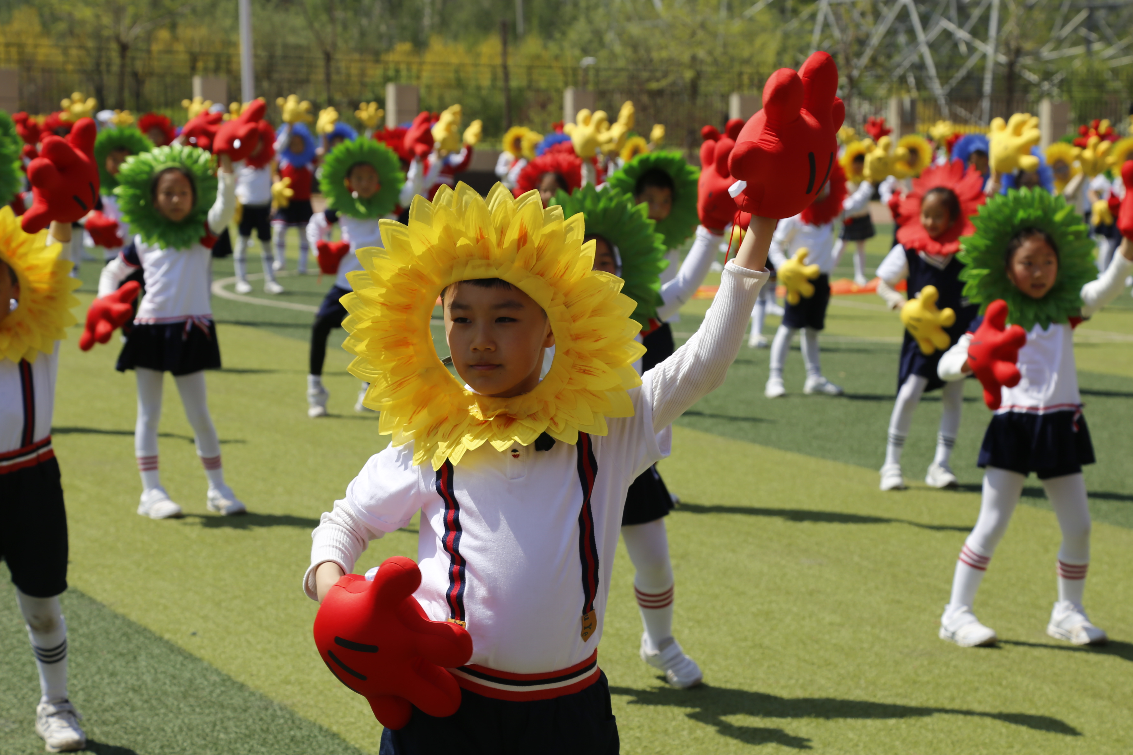 _MG_1564.JPG